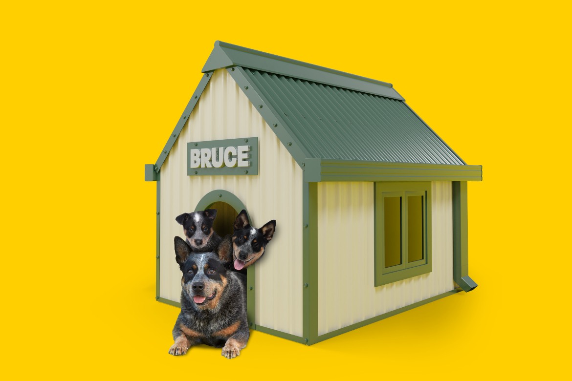 Bruce Dog House Roof